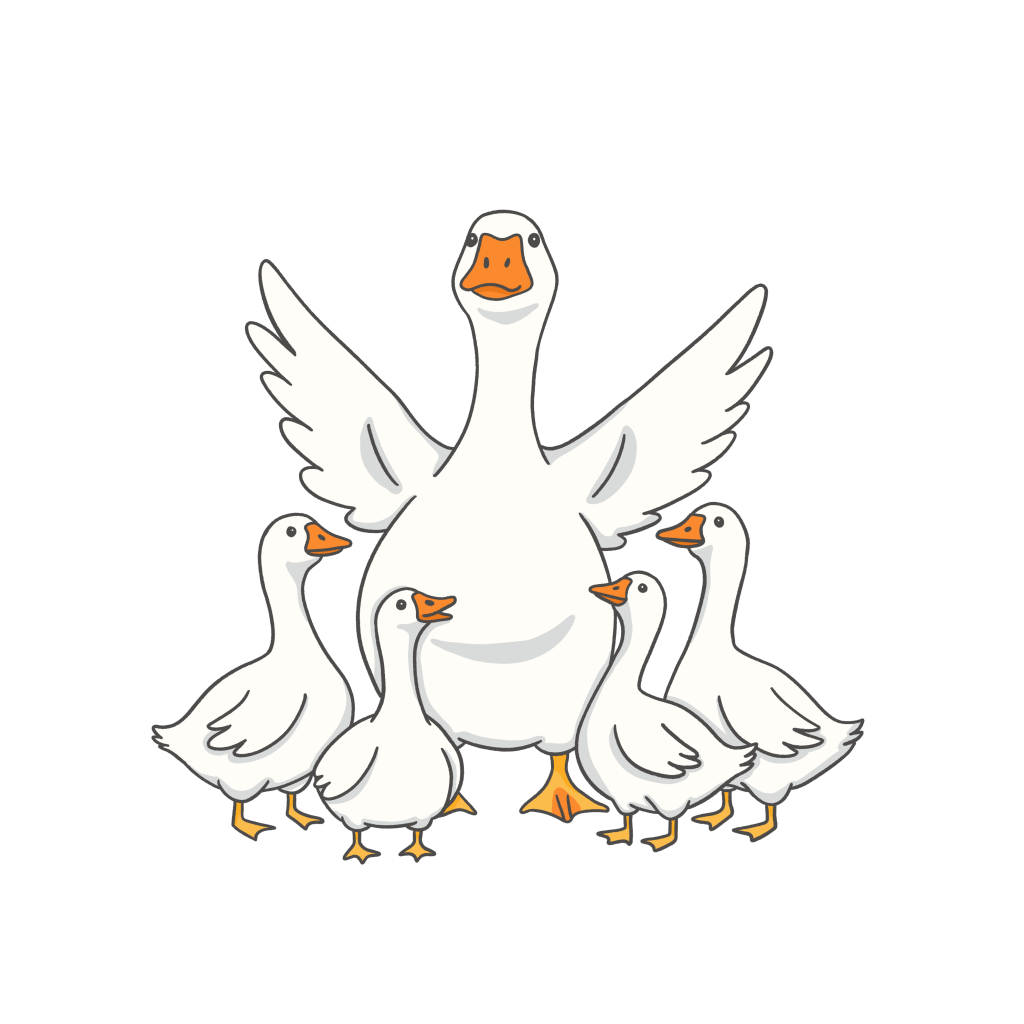join the flock